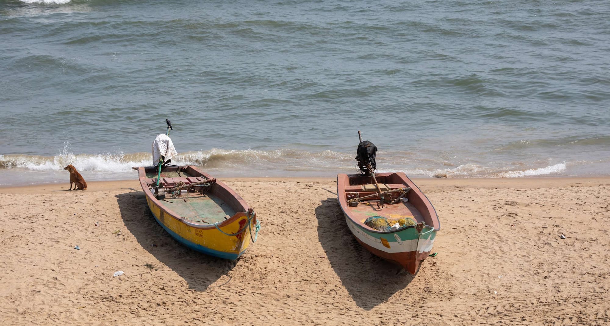 Radisson Blu Resort Temple Bay Mamallapuram - Fishing boats, sea breeze , Mamallapuram peace.