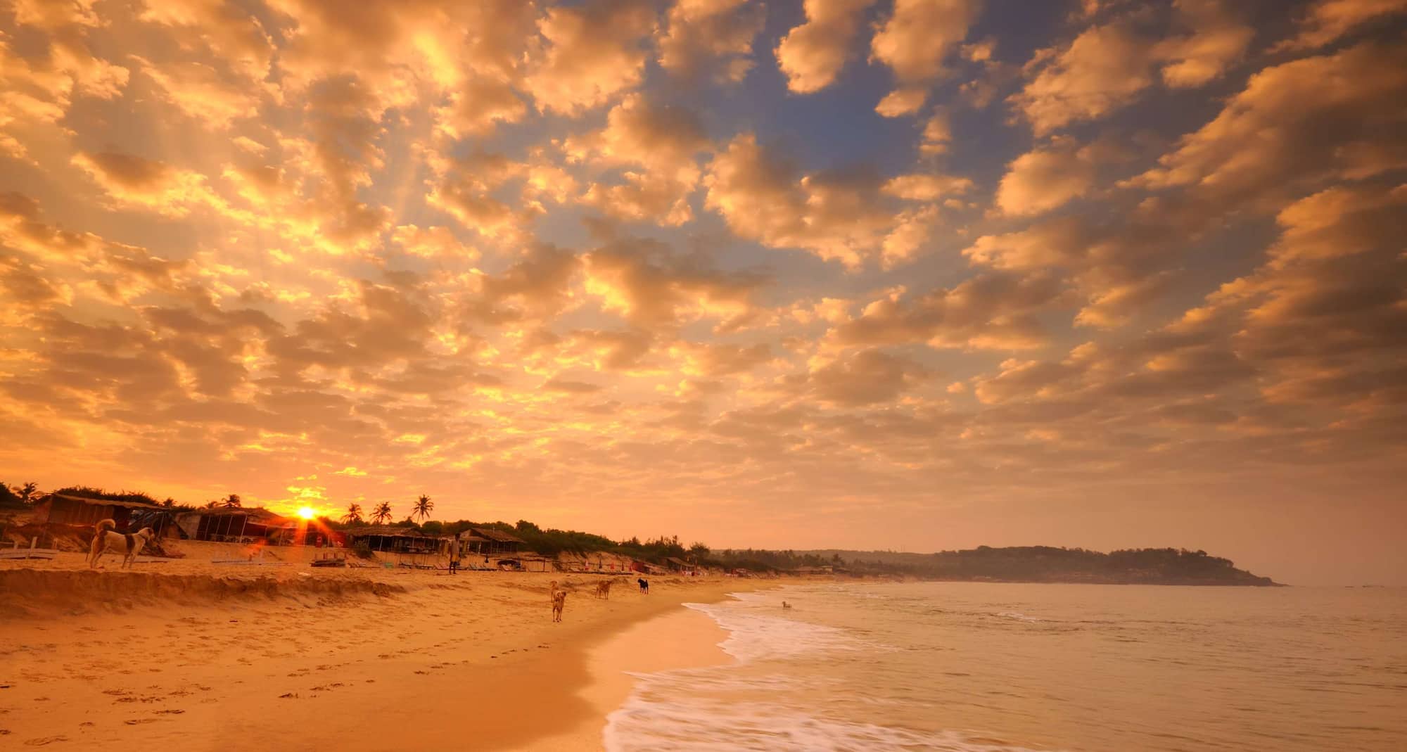 Radisson Blu Resort Temple Bay Mamallapuram - Blushing skies, whispering seas at Mamallapuram sunsets.