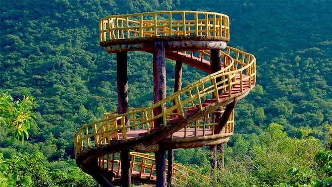 Kambalakonda Wildlife Sanctuary offers lush trails, rich flora, and peaceful encounters with nature