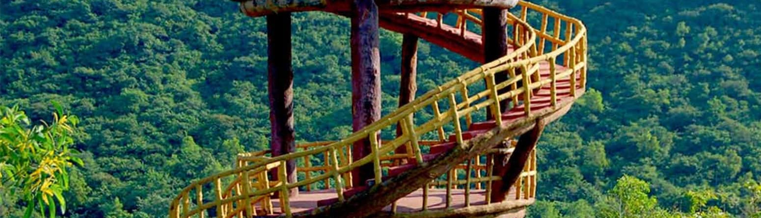 Kambalakonda Wildlife Sanctuary offers lush trails, rich flora, and peaceful encounters with nature