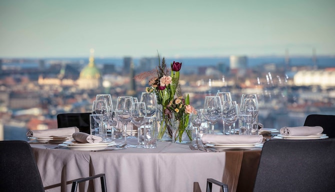 Radisson Blu Scandinavia Hotel, Copenhagen - The View