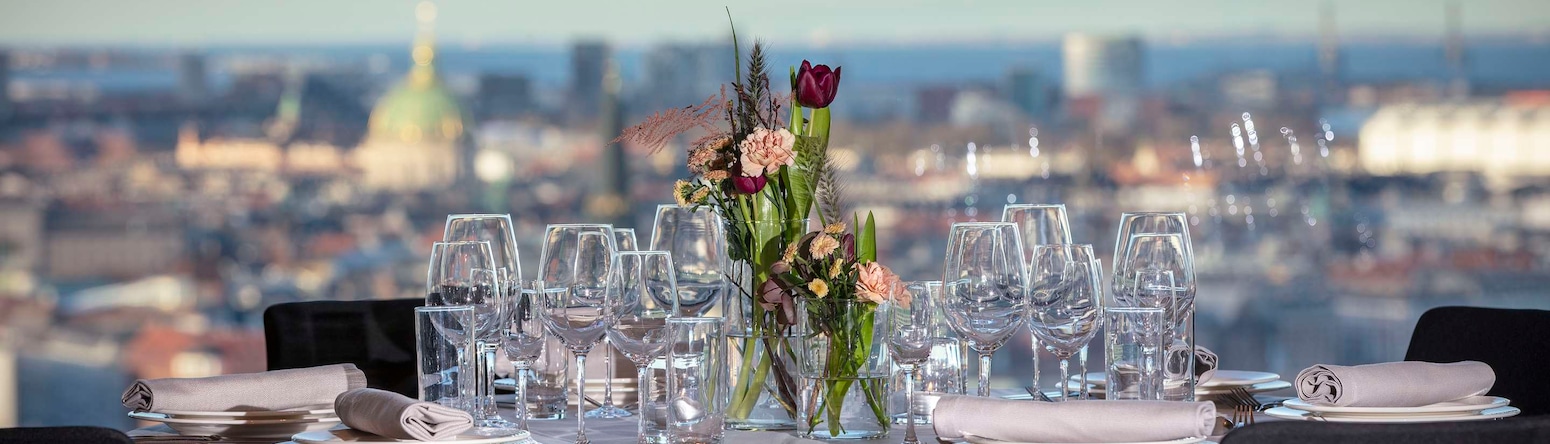 Radisson Blu Scandinavia Hotel, Copenhagen - The View