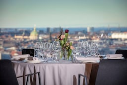 Radisson Blu Scandinavia Hotel, Copenhagen - The View