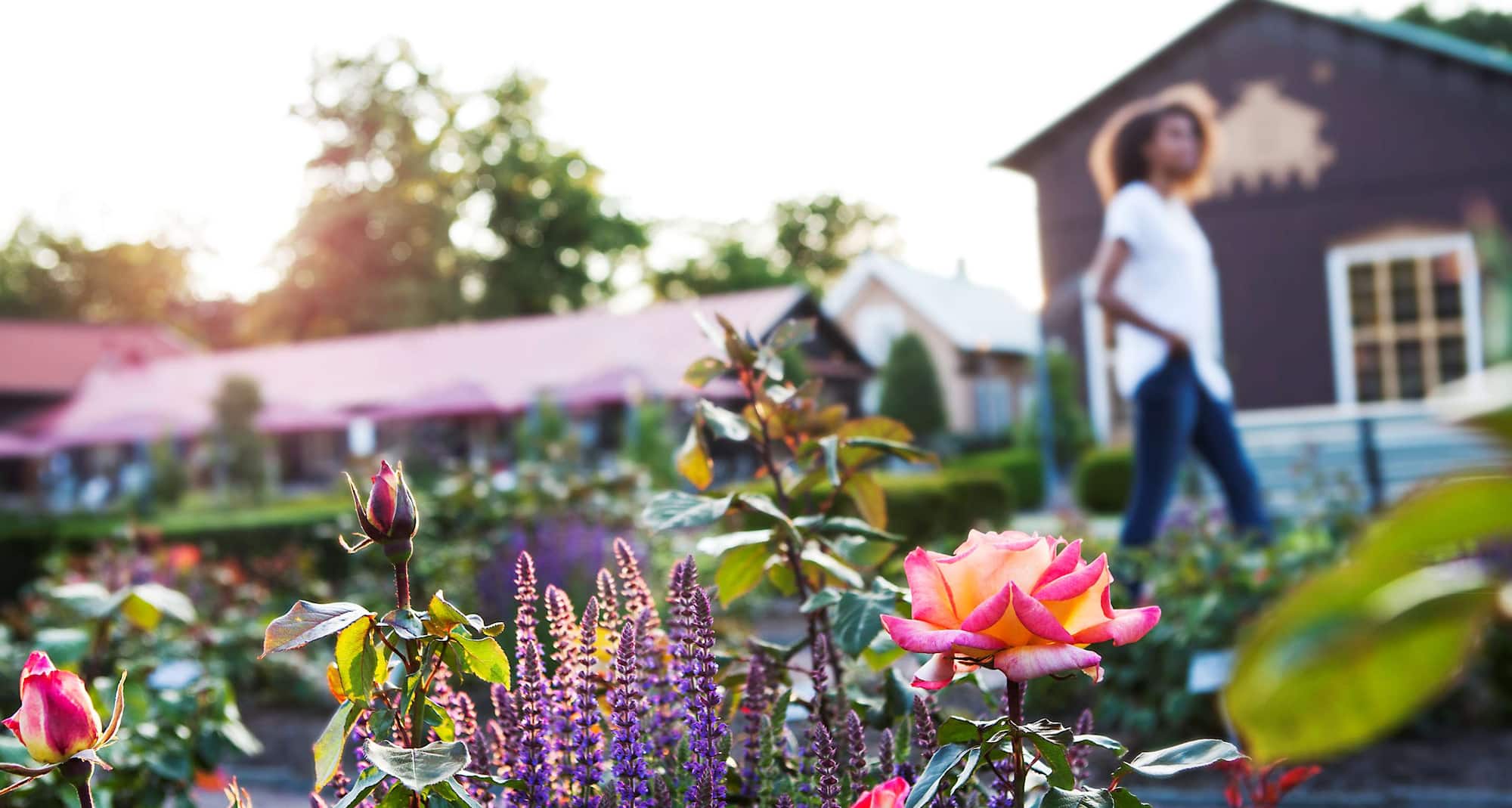 Radisson Blu Scandinavia Hotel, Gothenburg - Rose Garden