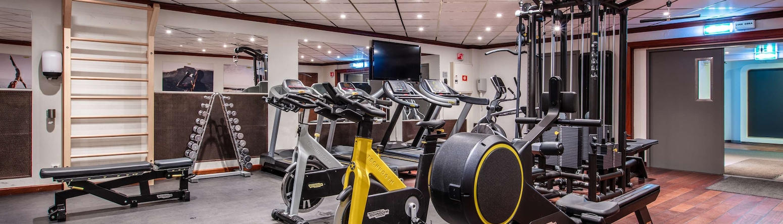 Radisson Blu Scandinavia Hotel, Oslo - Fitnesscenter