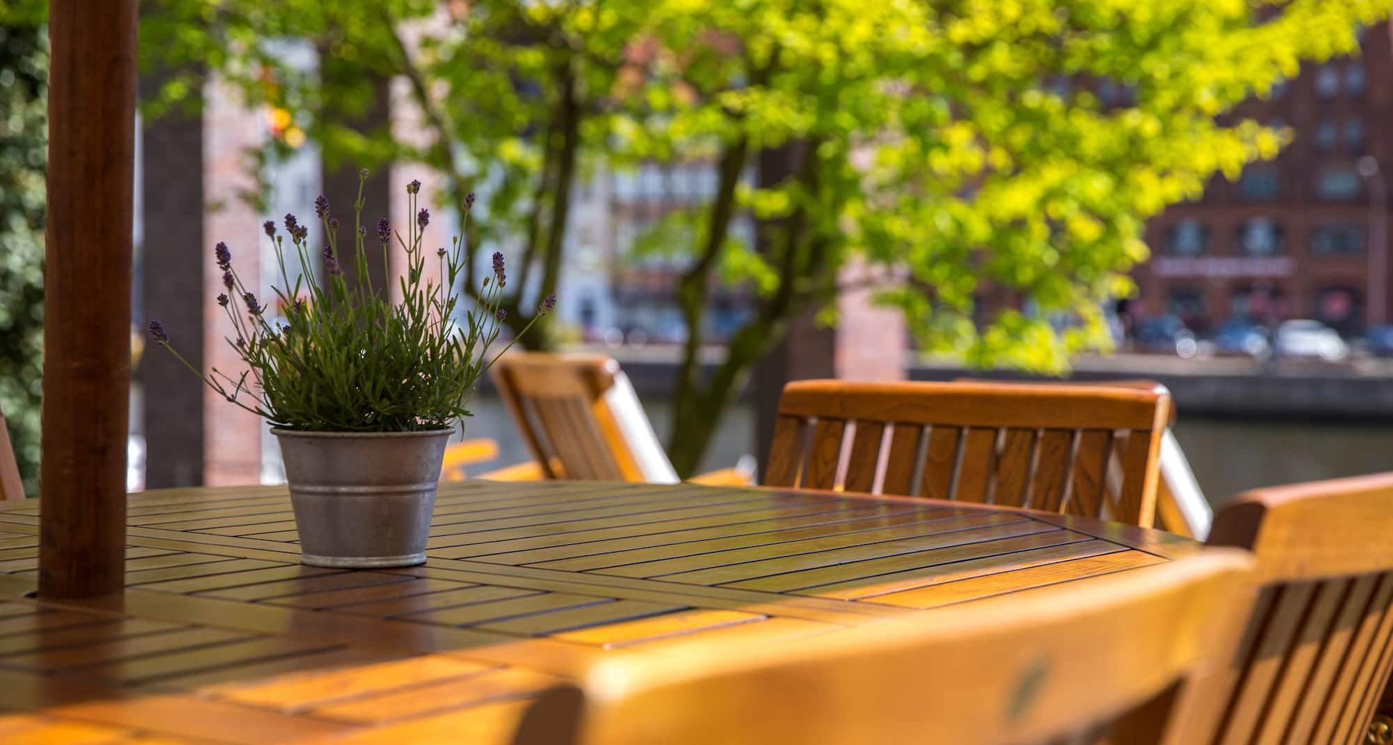 Radisson Blu Senator Hotel - Terrace