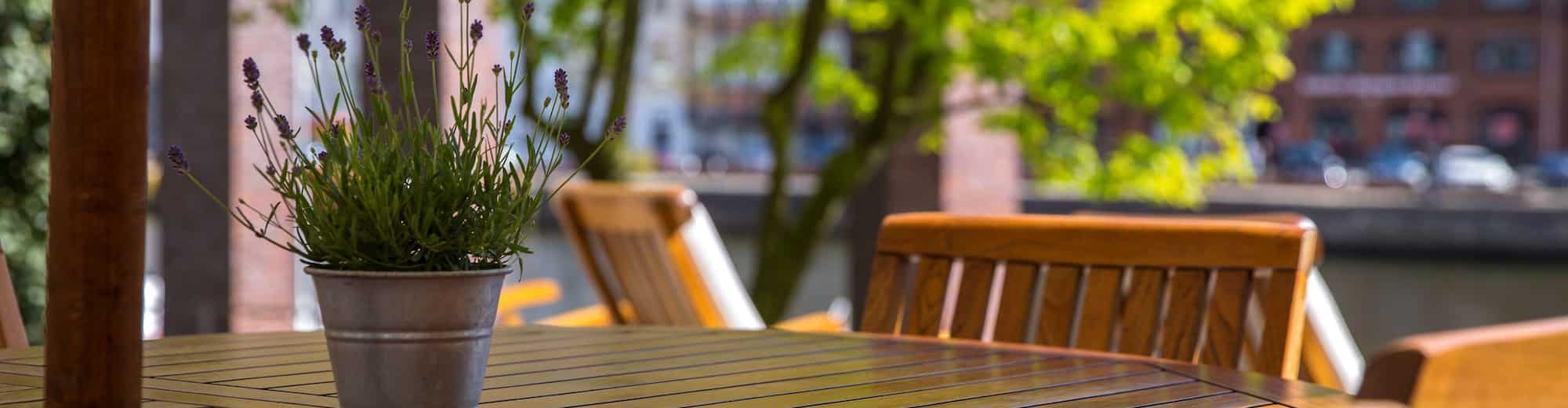 Radisson Blu Senator Hotel - Terrace