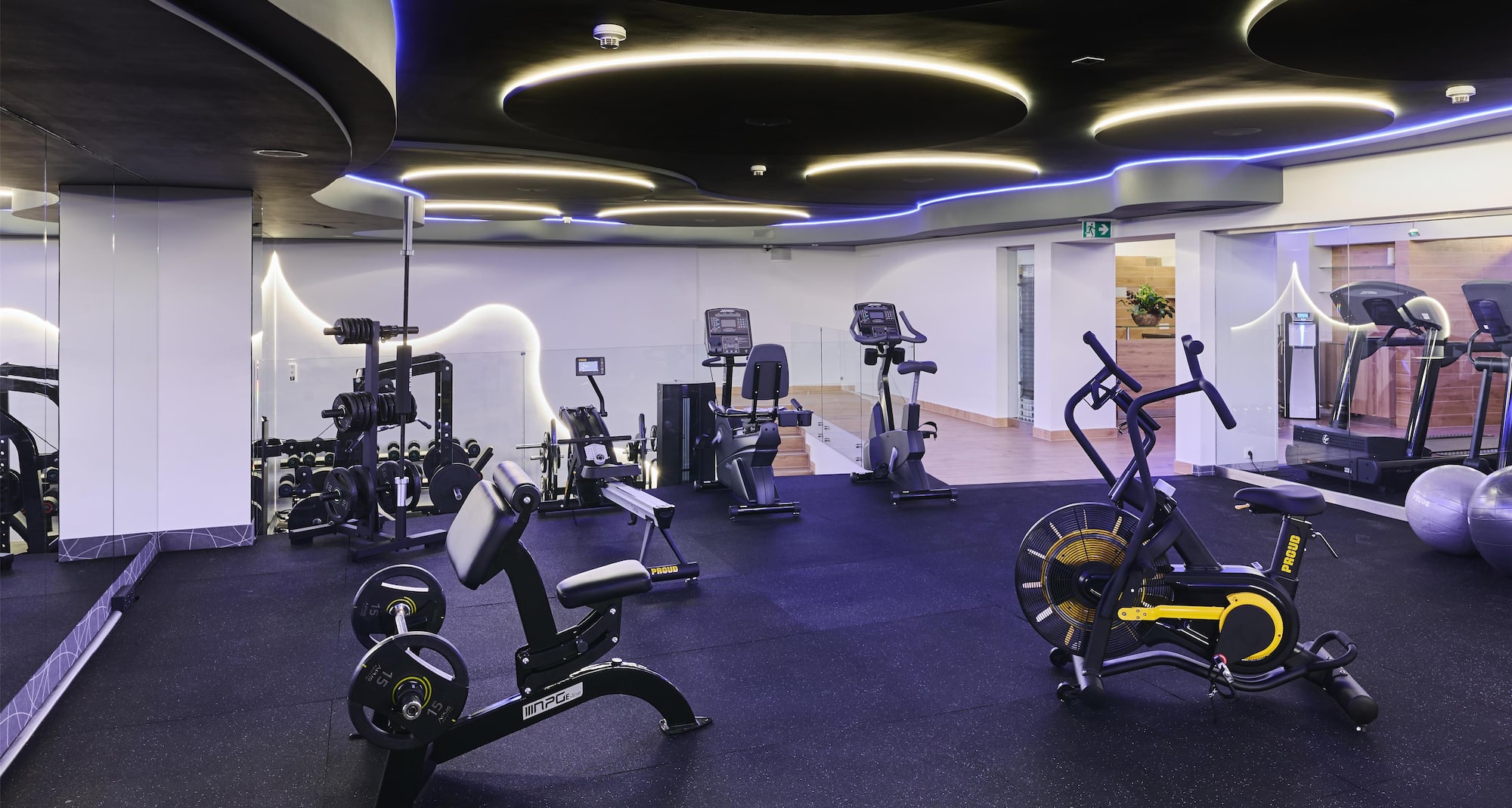 Radisson Blu Sobieski Hotel, Warsaw - Fitness Center