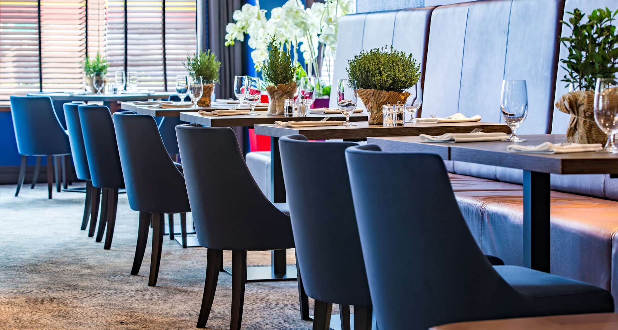 Radisson Blu Sobieski Hotel, Warsaw - Trylogia Restaurant