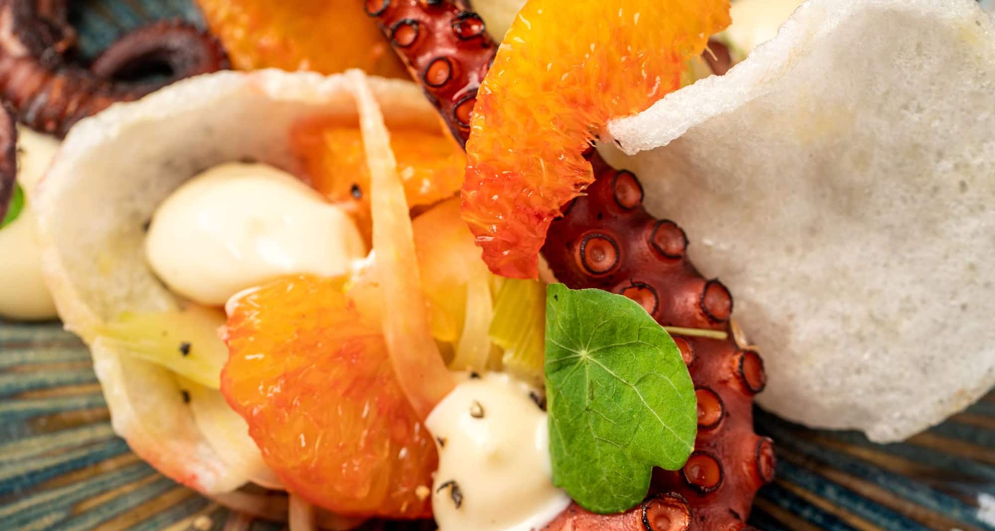 华沙索比斯基丽笙酒店 - 章鱼