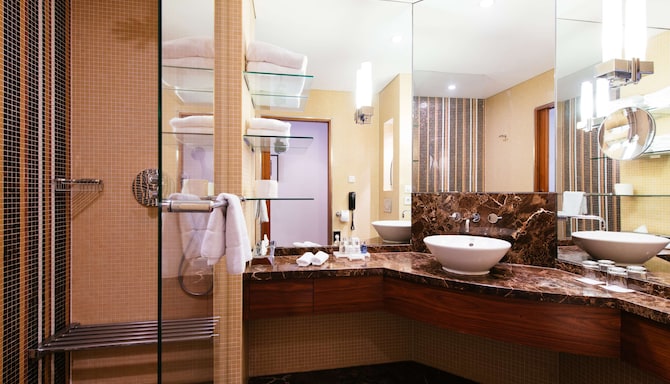 Radisson Blu Style Hotel, Vienna - Premium Room