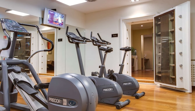 Radisson Blu Style Hotel, Vienna - Gym