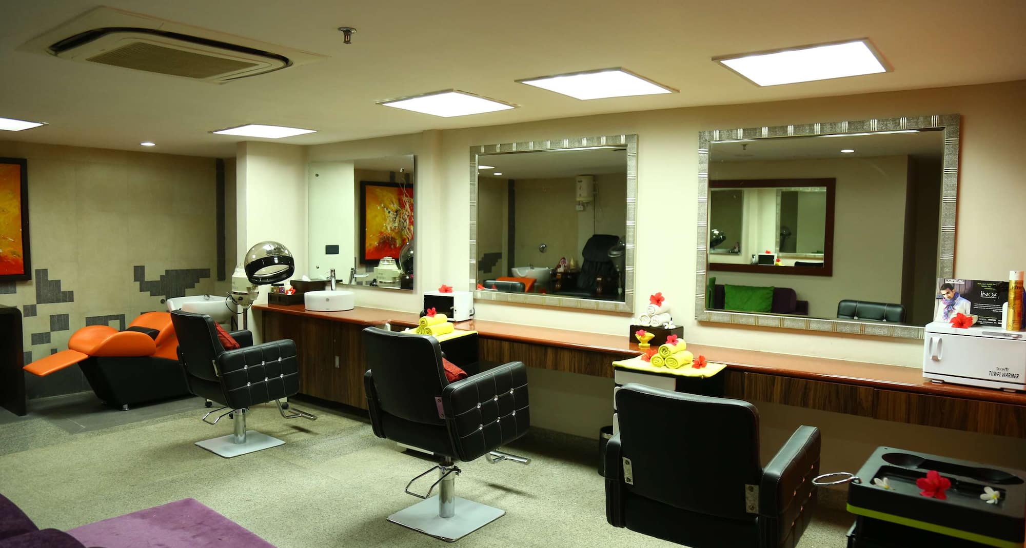 Radisson Blu Udaipur Palace Resort and Spa - Salon