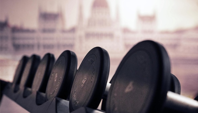 Radisson Collection Hotel, Basilica Budapest - Gym