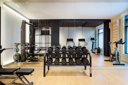 Radisson Collection Hotel, Magdalena Plaza Sevilla - Fitness Centre