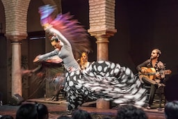Radisson Collection Hotel, Magdalena Plaza Sevilla - Flamenco show
