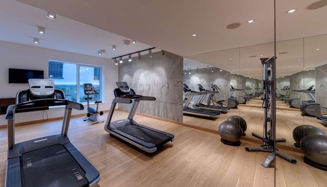 Radisson Collection Hotel, Old Mill Belgrade - Gym