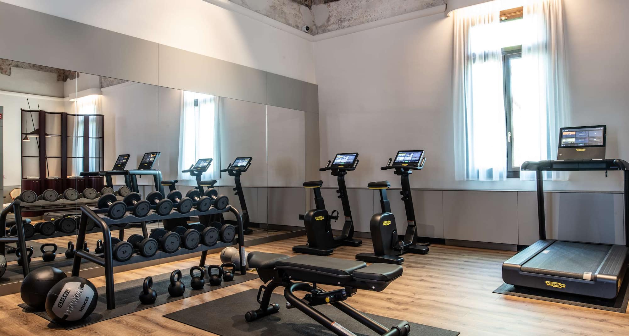 Radisson Collection Hotel, Palazzo Nani Venice - Palestra