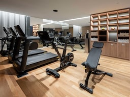 Radisson Collection Hotel, Santa Sofia Milan - Fitness Center