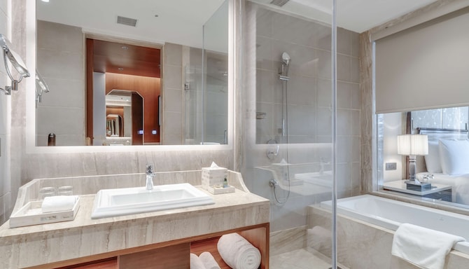 Radisson Collection Hotel & Spa, Riverfront Srinagar - Collection Executive Room bathroom