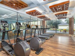 Radisson Collection Hotel and Spa, Riverfront Srinagar - Gym
