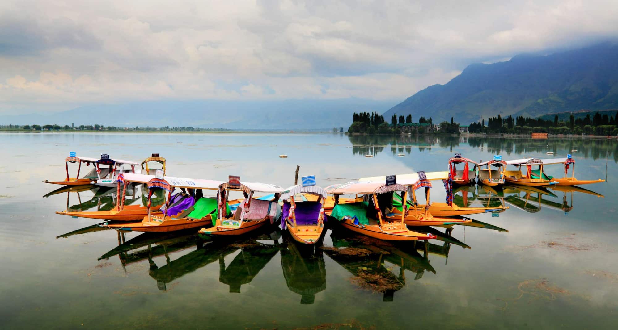 Glide through Srinagar’s timeless charm on a shikara