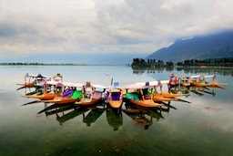 Glide through Srinagar’s timeless charm on a shikara