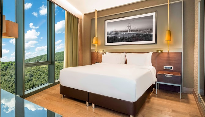 Radisson Collection Hotel, Vadistanbul - Chambres / Logements