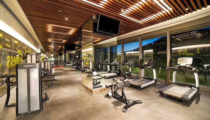 Radisson Blu Hotel, Vadistanbul - Fitness center