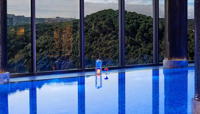 Radisson Blu Hotel, Vadistanbul - Swimming pool