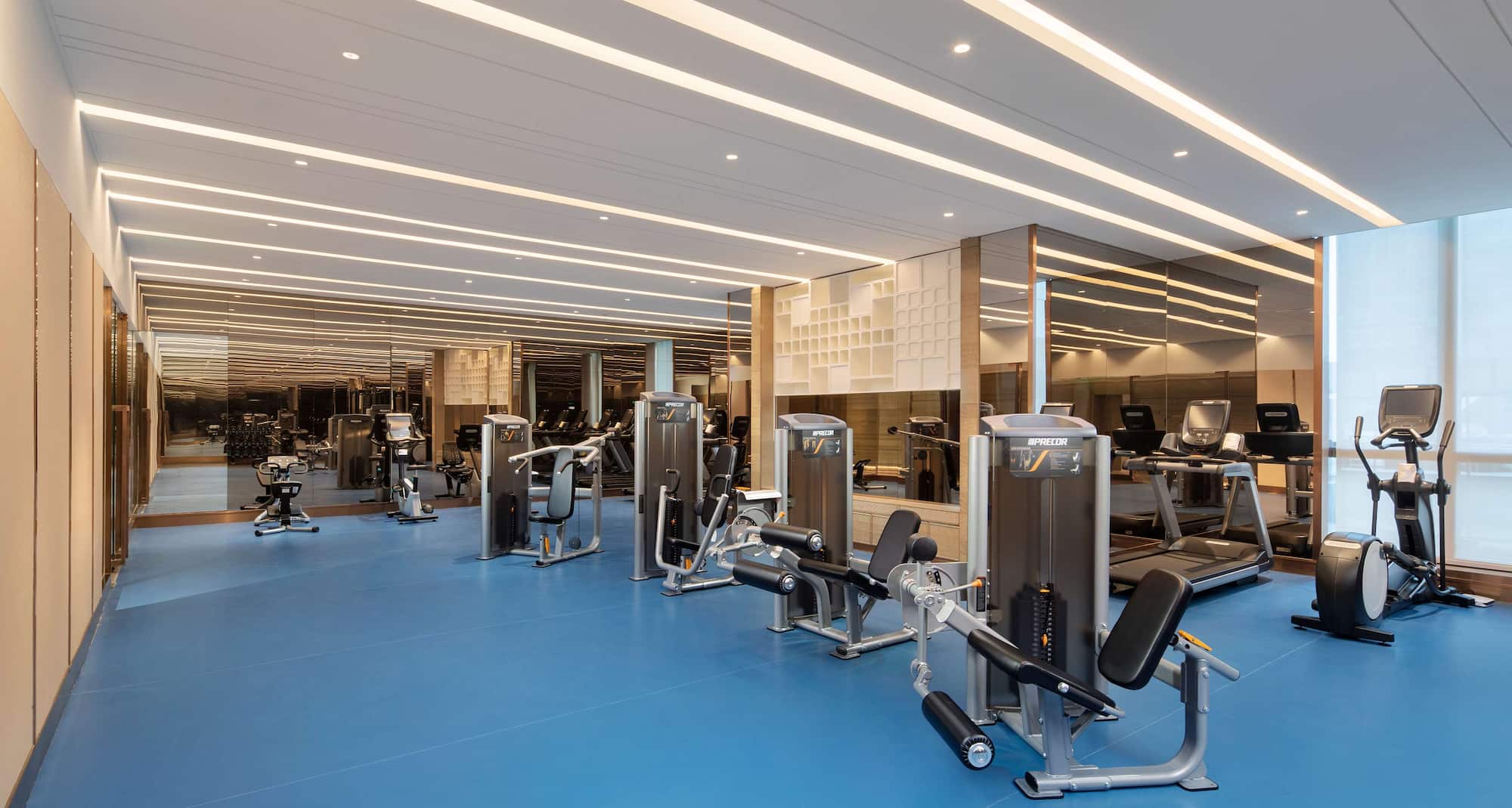 Radisson Collection Hotel, Wuxi - Gym