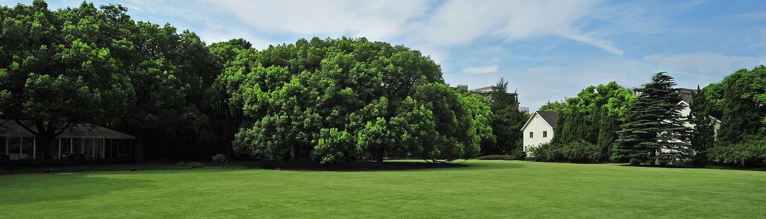 Radisson Collection Hotel, Xing Guo Shanghai - Outdoor wedding set-up