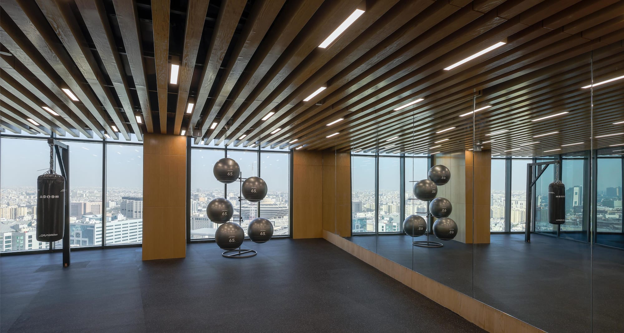 Radisson Collection Residences, Riyadh - Health Club Training Room