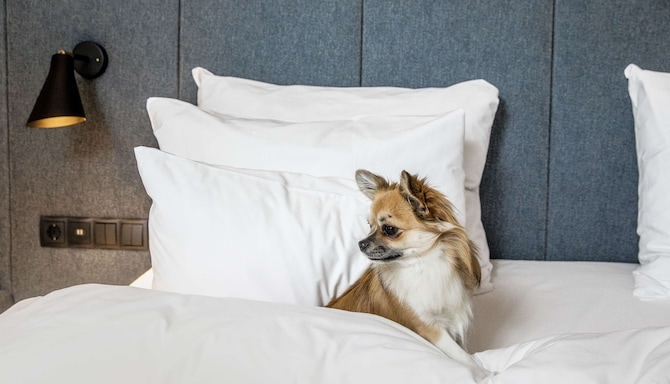 Radisson Collection Strand Hotel, Stockholm - Pet Friendly - Guest Room