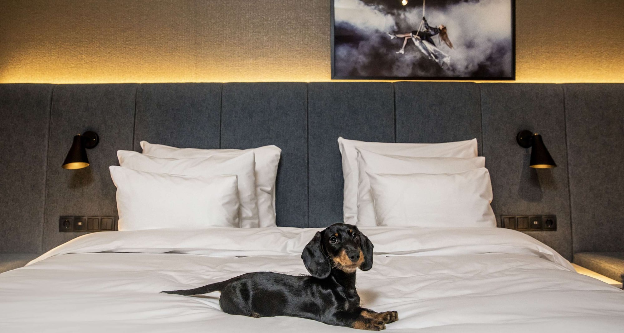 Radisson Collection Strand Hotel, Stockholm - Pet Friendly - Guest Room
