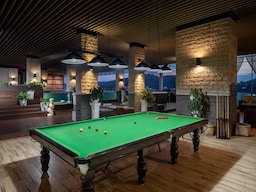 Radisson Golf & Convention Center Batam - Snooker table