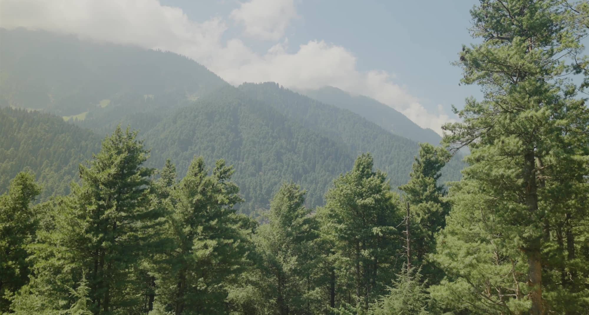 Caption: A quaint hut nestled amidst Pahalgam’s serene hills, offering a glimpse of rustic tranquility