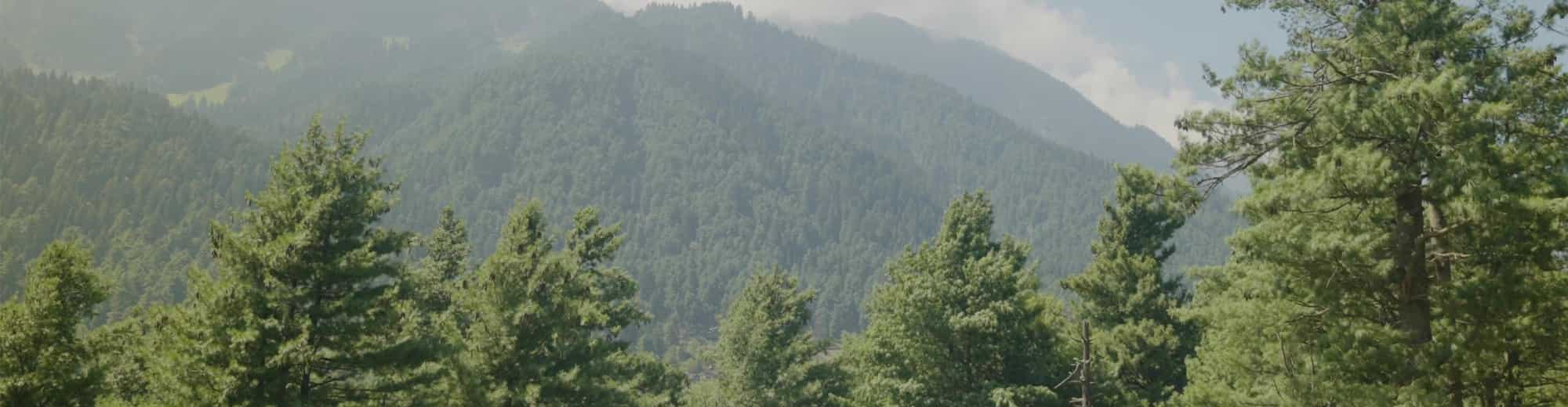 Caption: A quaint hut nestled amidst Pahalgam’s serene hills, offering a glimpse of rustic tranquility