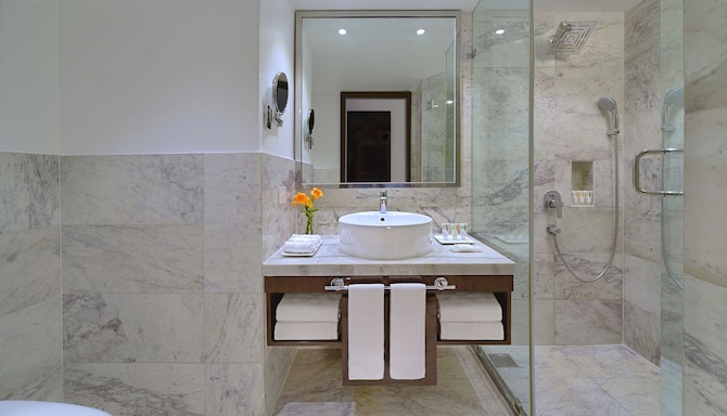 Radisson Hotel Agra - Bathroom