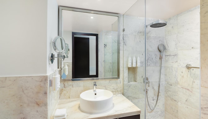Radisson Hotel Agra - Standard Bathroom