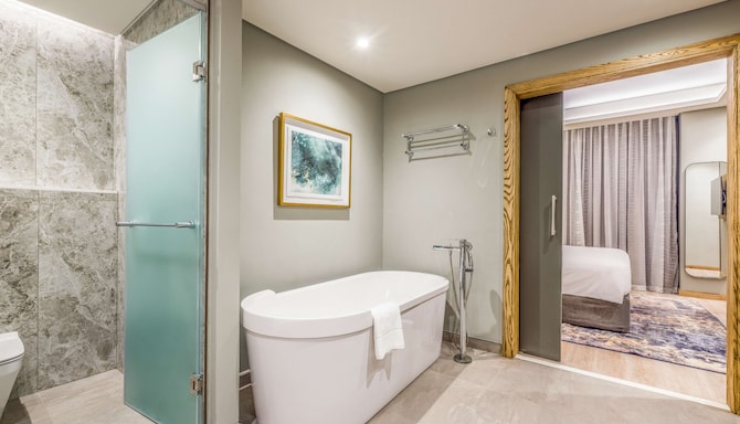 Radisson Hotel and Convention Centre OR Tambo Airport - Deluxe suite - bathroom