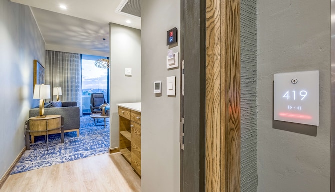 Radisson Hotel and Convention Centre OR Tambo Airport - Junior suite - entrance