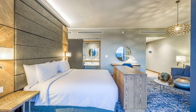 Radisson Hotel and Convention Centre OR Tambo Airport - Junior suite