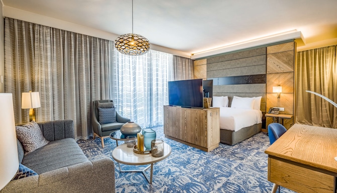 Radisson Hotel and Convention Centre OR Tambo Airport - Junior suite - TV up