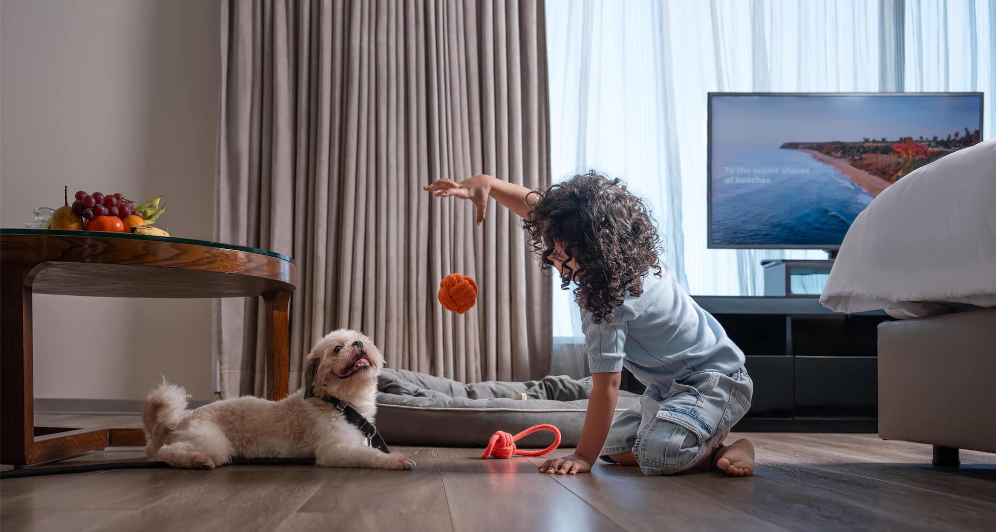 Radisson Hotel Bengaluru City Center - Pet-friendly stays with pets staying free