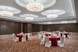 Radisson Hotel Bhopal - Ballroom