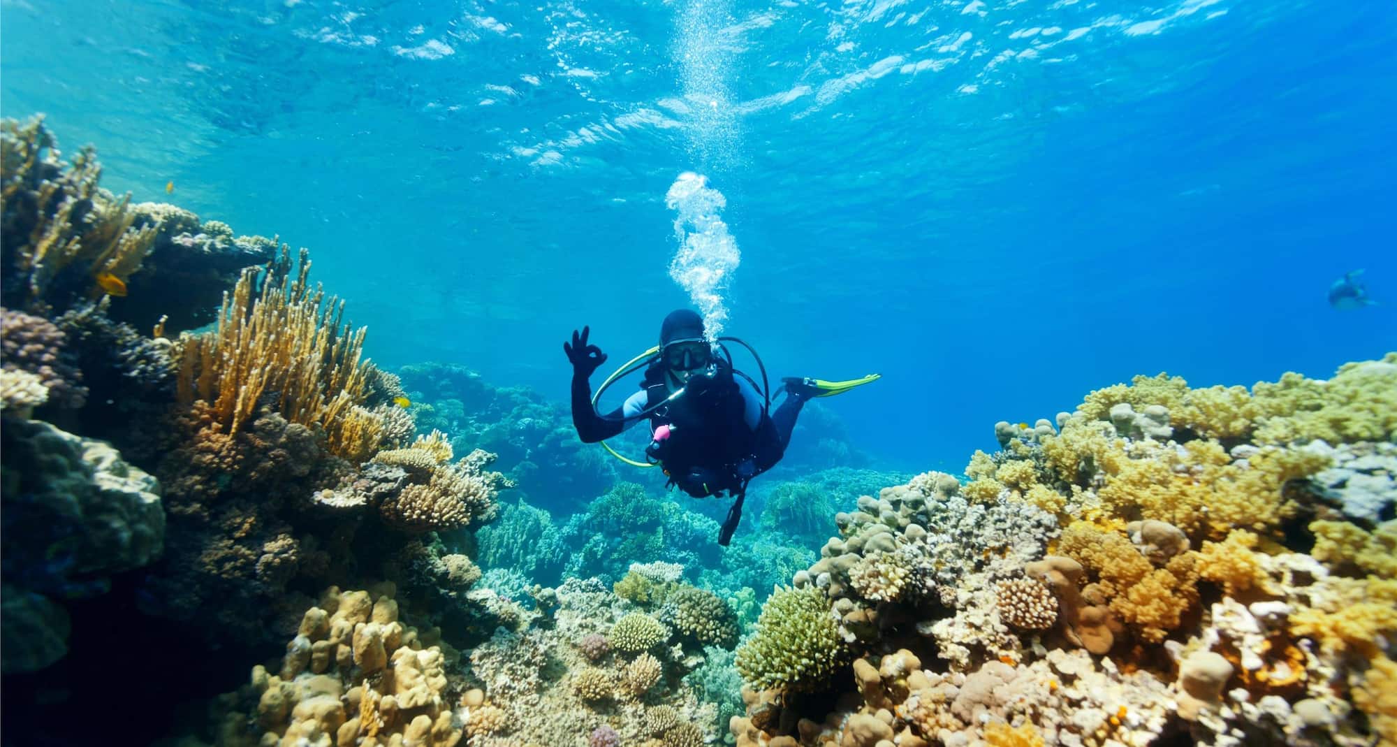 Radisson Hotel Brunei Darussalam - Diving