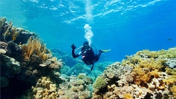 Radisson Hotel Brunei Darussalam - Diving