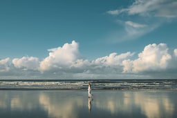 Radisson Hotel Casablanca Gauthier La Citadelle - Beach of Casablanca