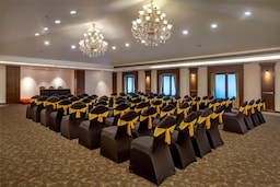 Radisson Hotel Goa Candolim - Ballroom